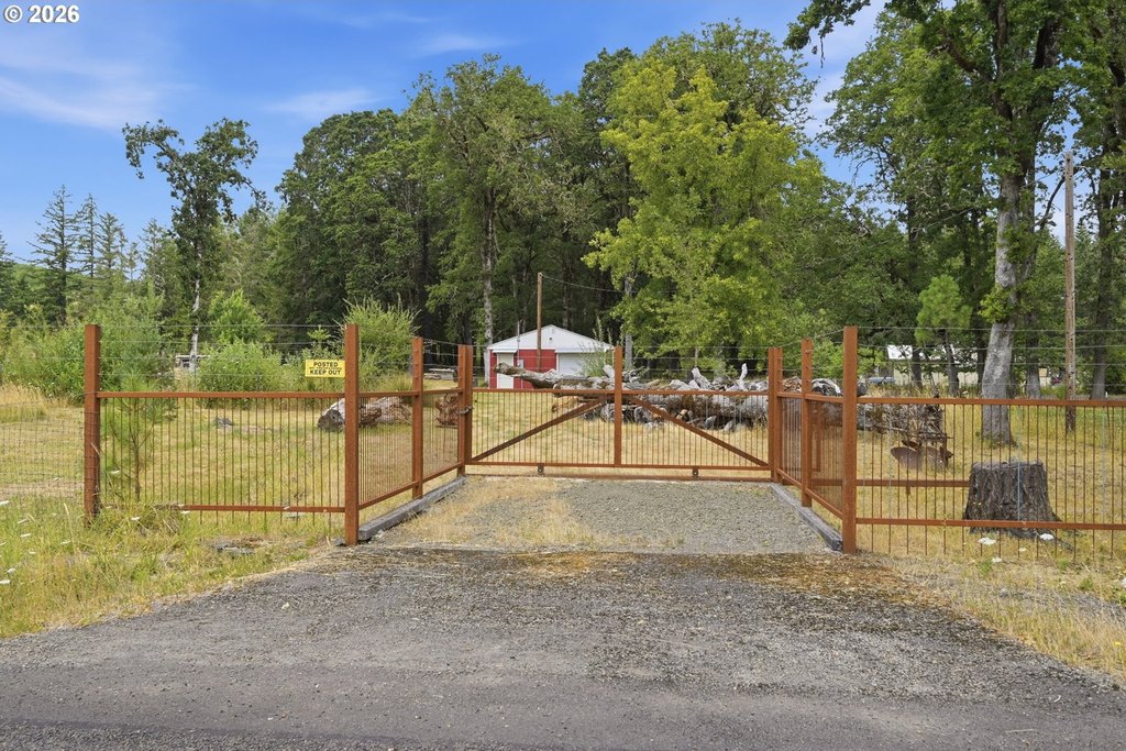 Picture 19