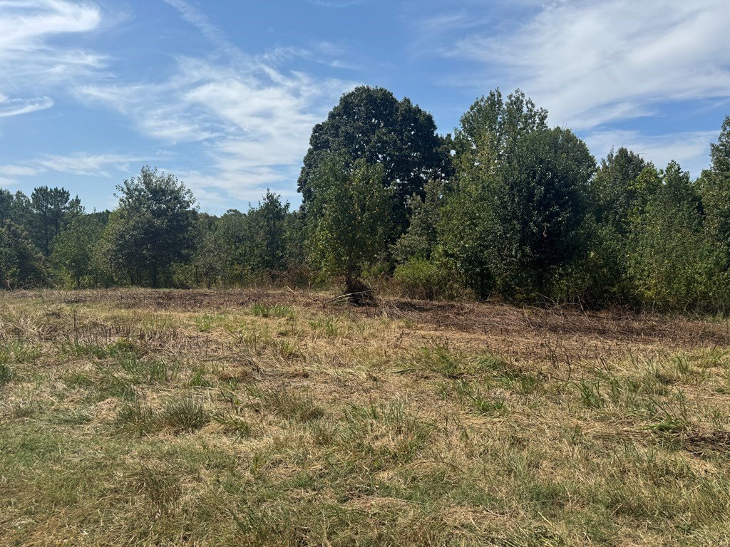 Picture 4
