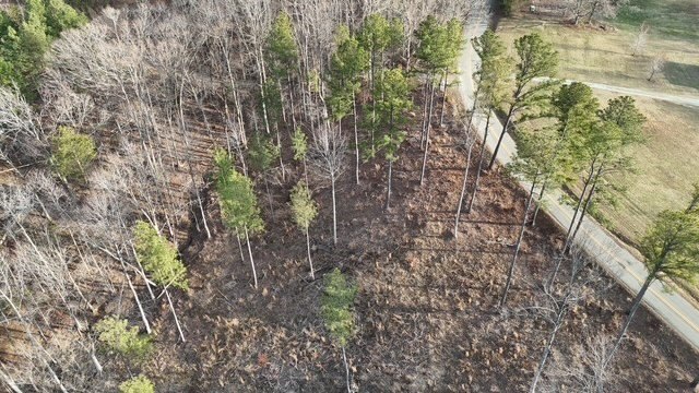 Picture 12