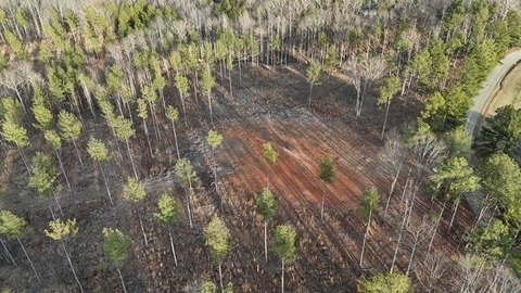20 Acres Land in Jetersville