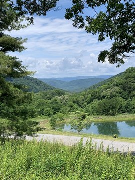 LAND - HOT SPRINGS, VA