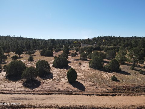 Acreage Near Show Low, AZ