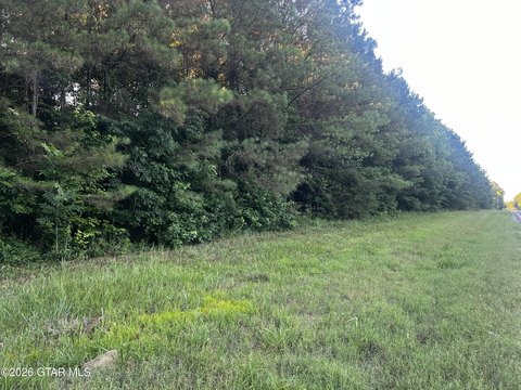 LAND - Steens, MS