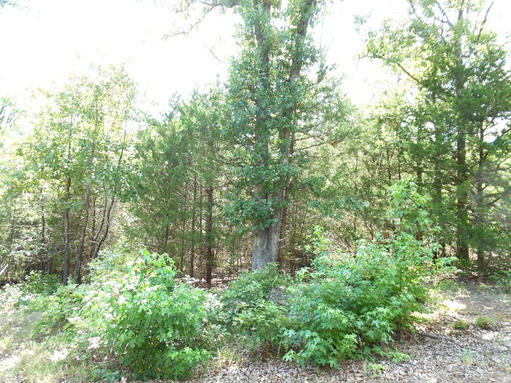 Picture 3