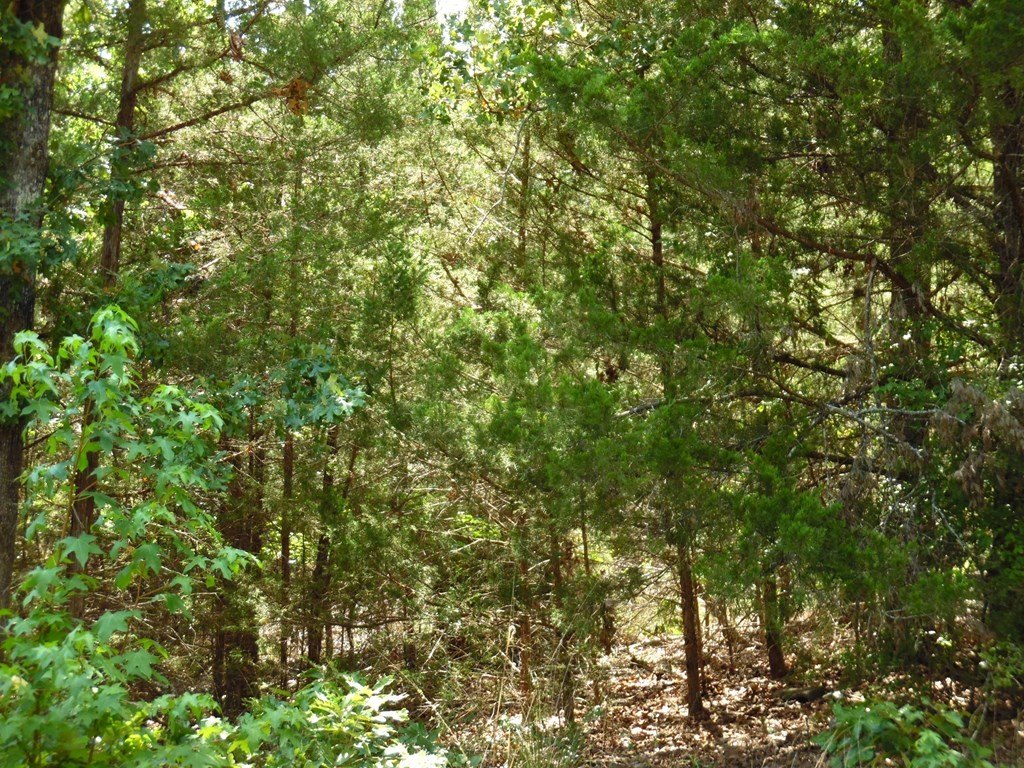 Picture 4