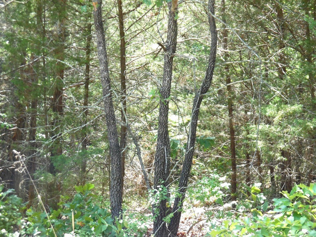 Picture 6