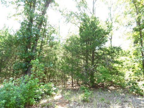 LAND - Murchison, TX