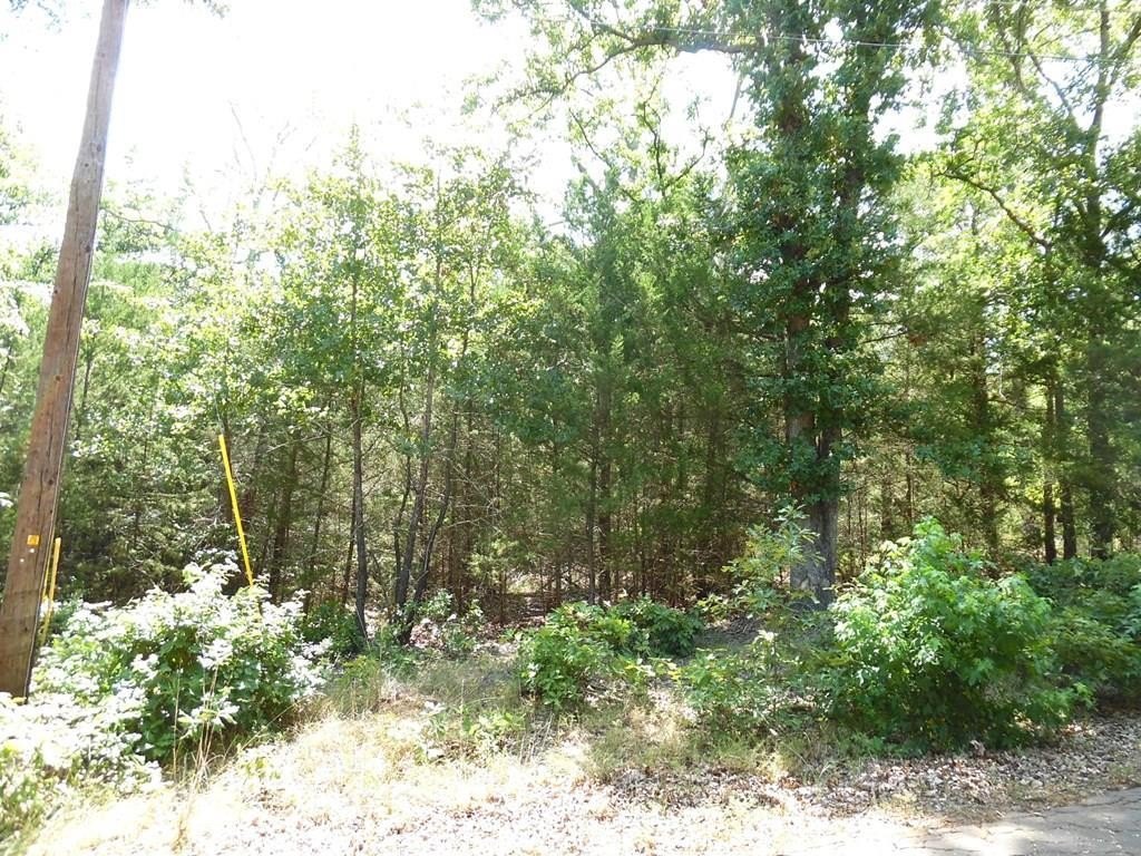 Picture 2