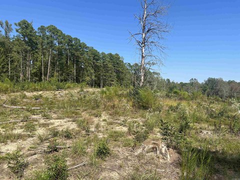 Vacant Land, Amity, AR