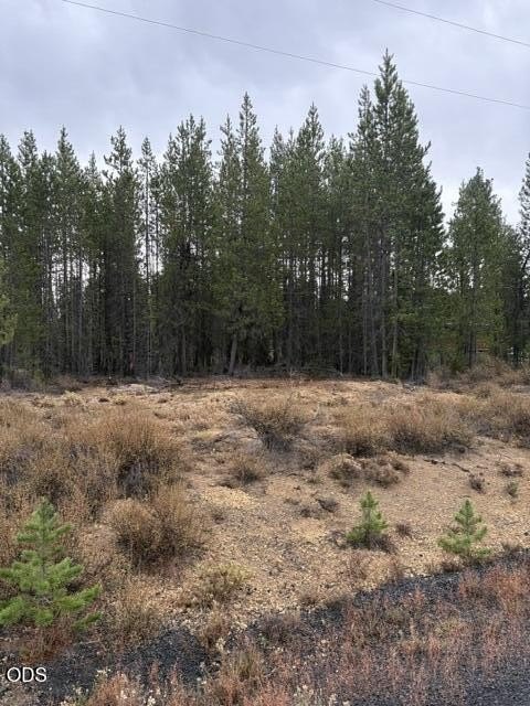 Picture 21