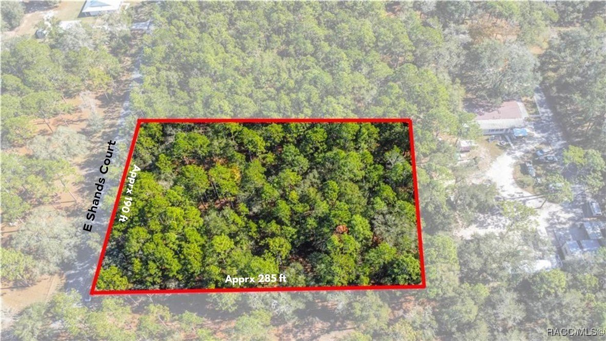 Spacious Homesite in Inverness, FL