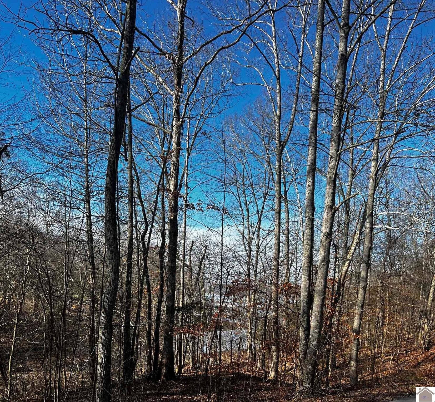 Lake View Residential Lot