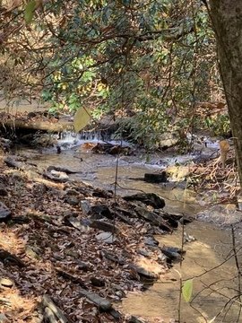 Ellijay Vacant Lot with Creek
