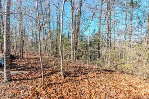 Sevierville Land with Mountain Views