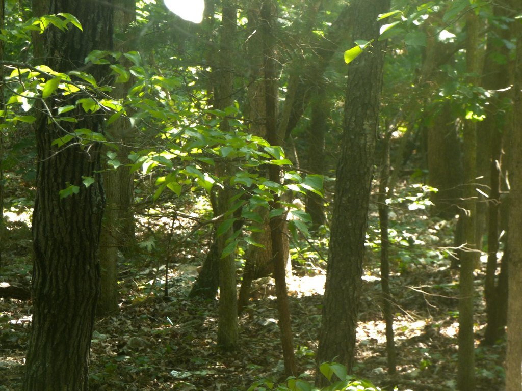 Picture 3