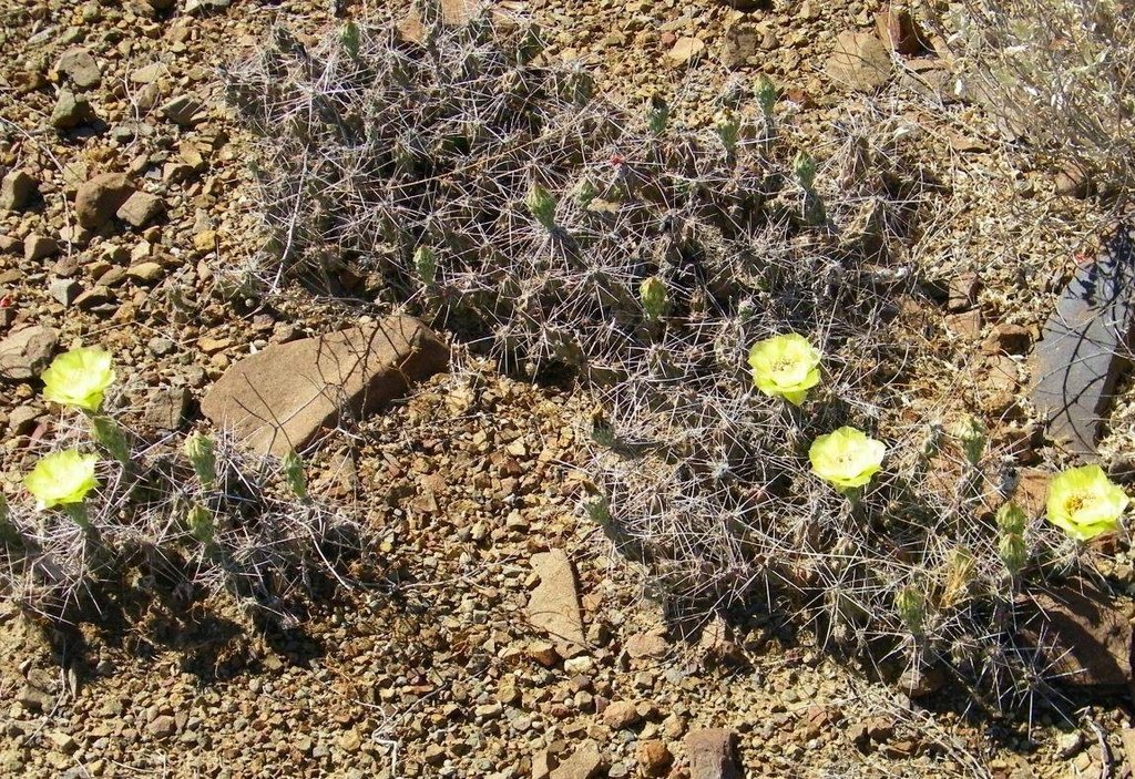 Picture 6