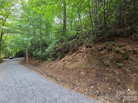 Mountain Homesite in Rivers Edge