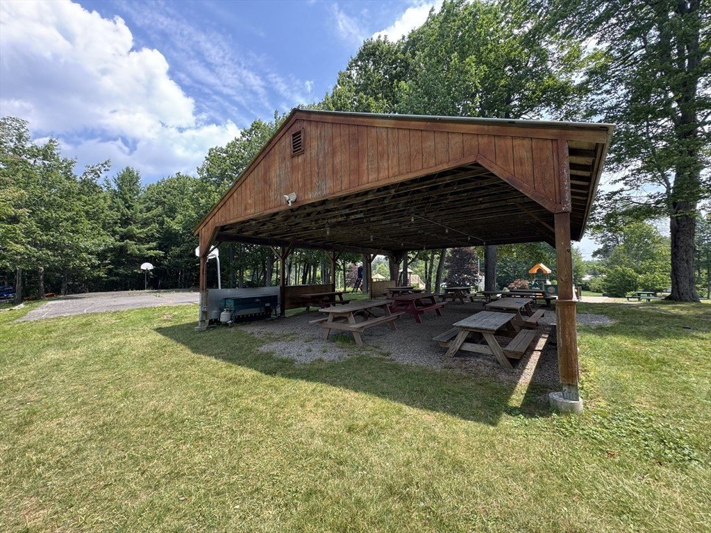 Picture 19