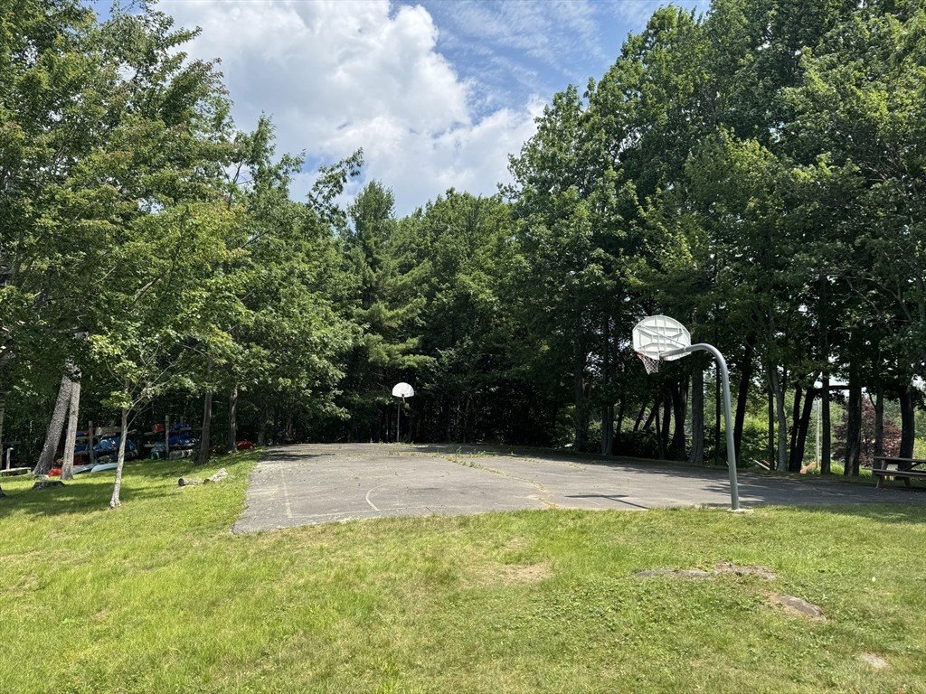 Picture 18