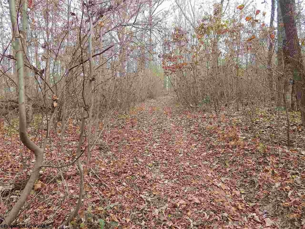 Picture 10