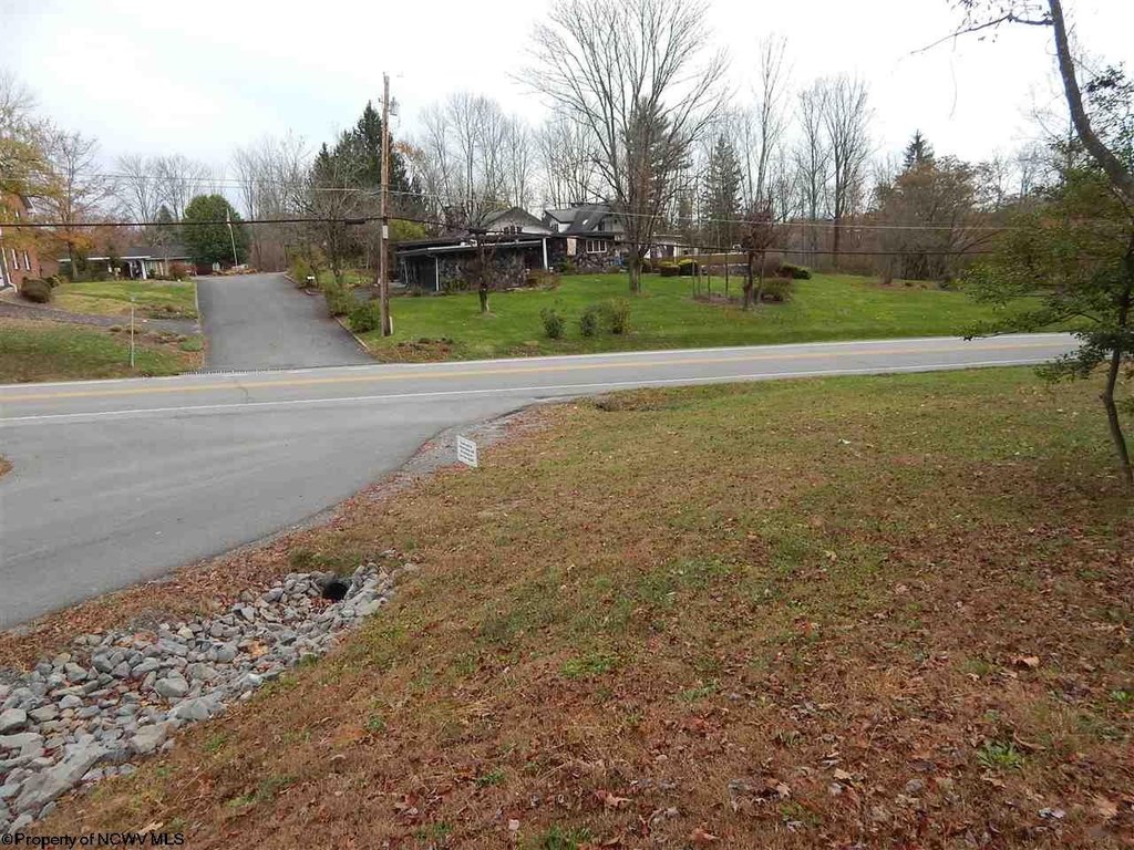 Picture 19