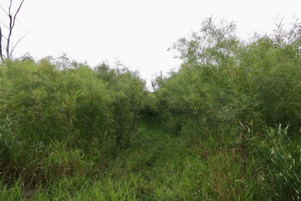 Picture 33