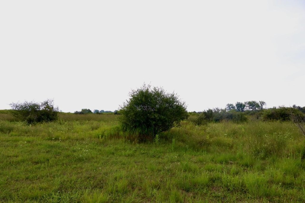 Picture 30