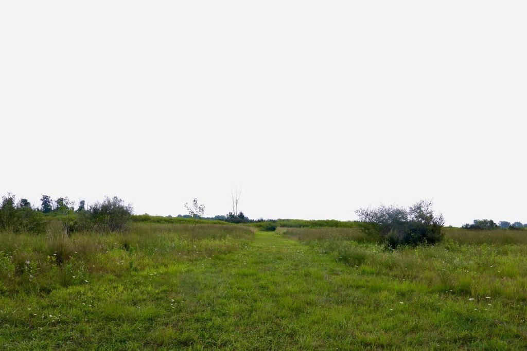Picture 26