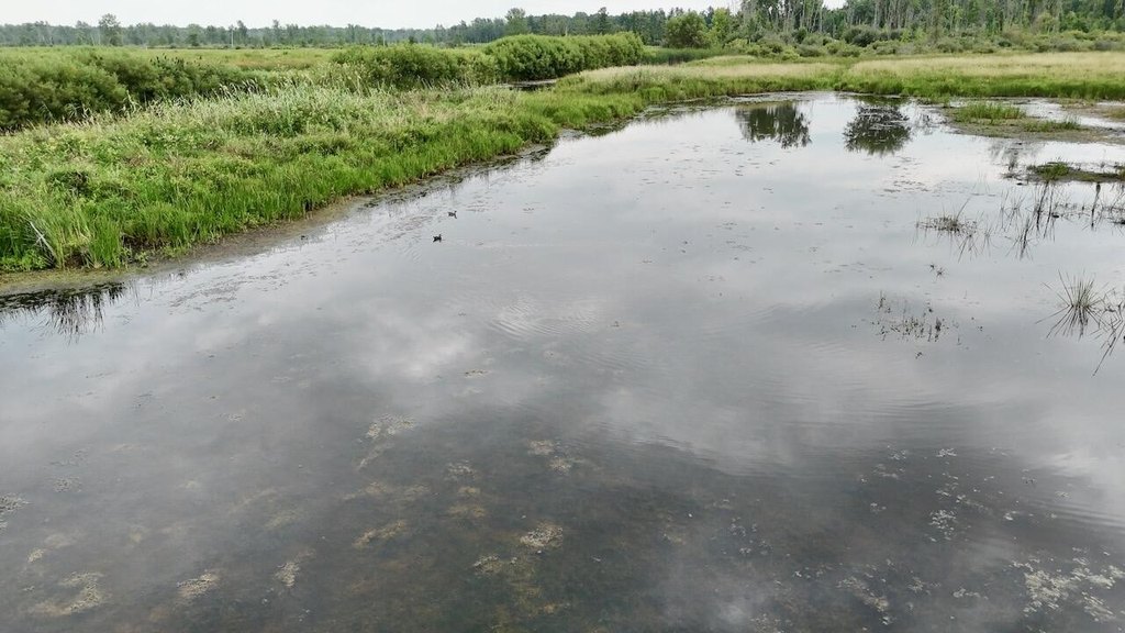 Picture 15