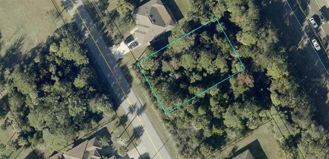 LAND - PALM COAST, FL