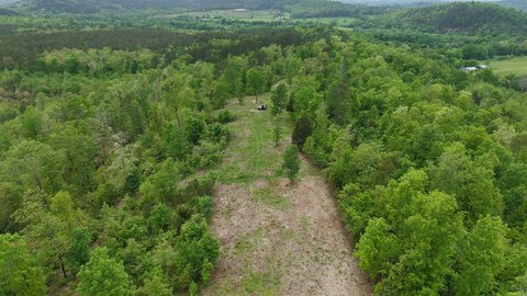 Vacant Land, Oden, AR