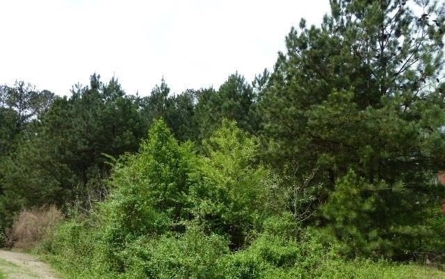 Picture 16