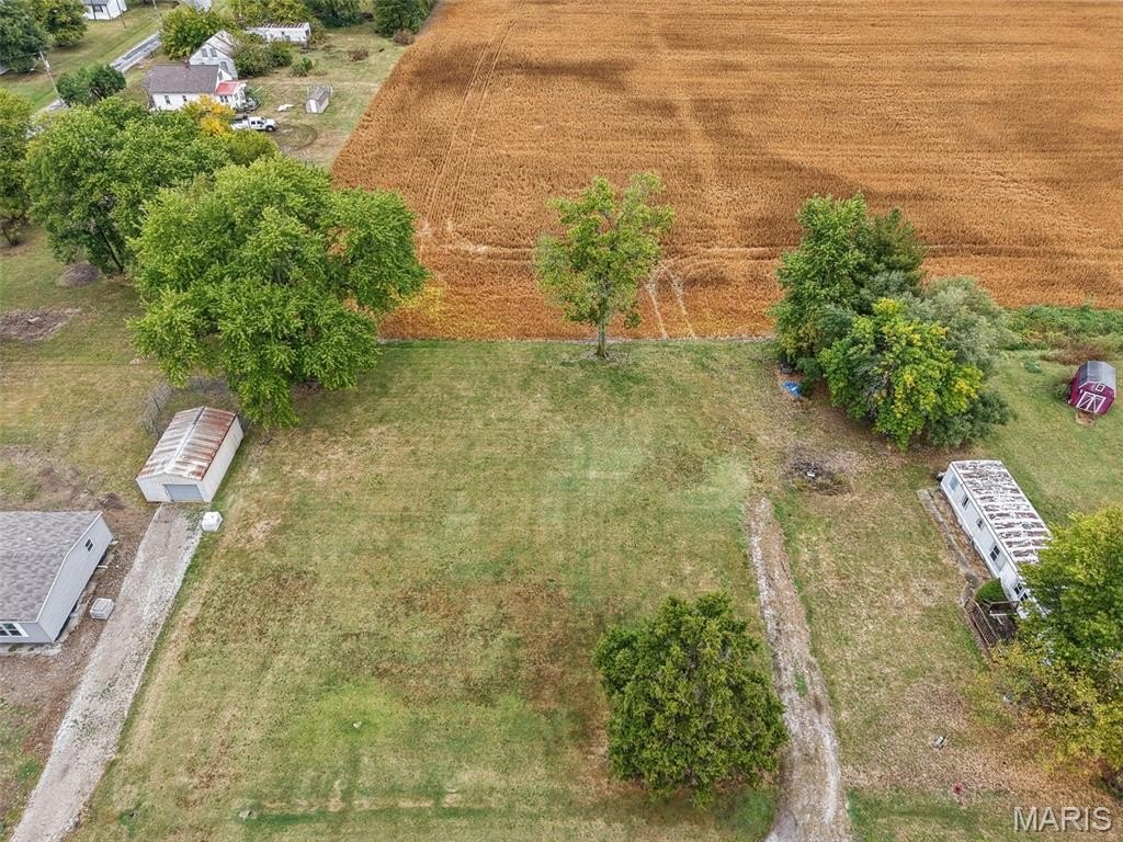 Picture 6