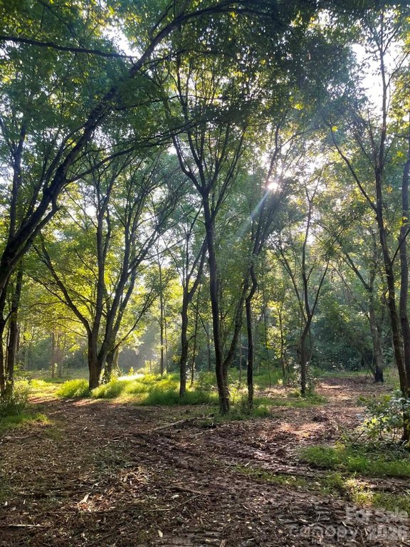 Picture 40