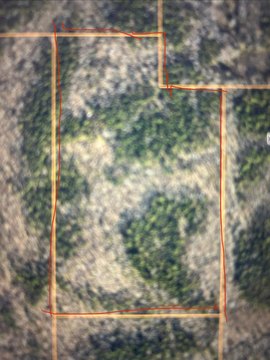 Land for Hunting and Wildlife