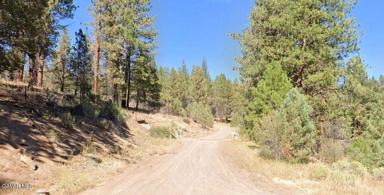 Recreational Land in Lassen County
