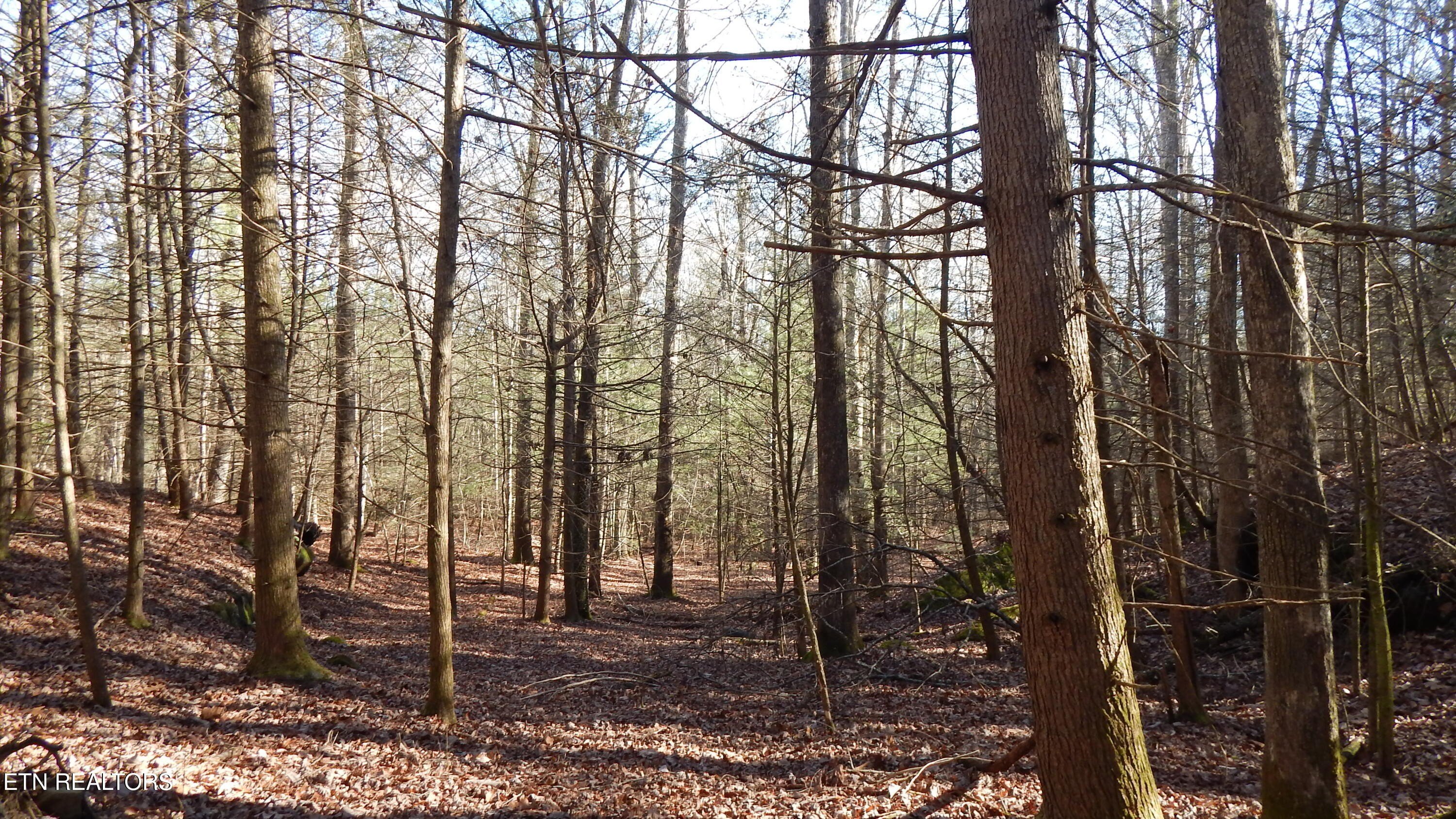 Jamestown, TN Land For Sale