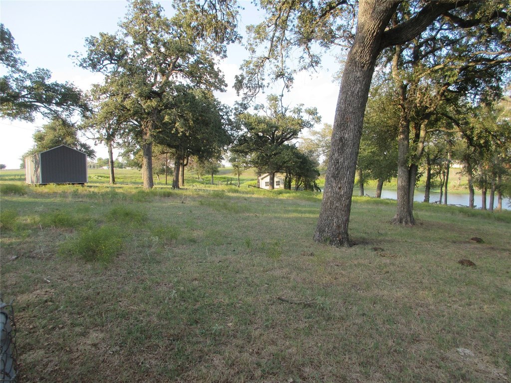 Picture 10