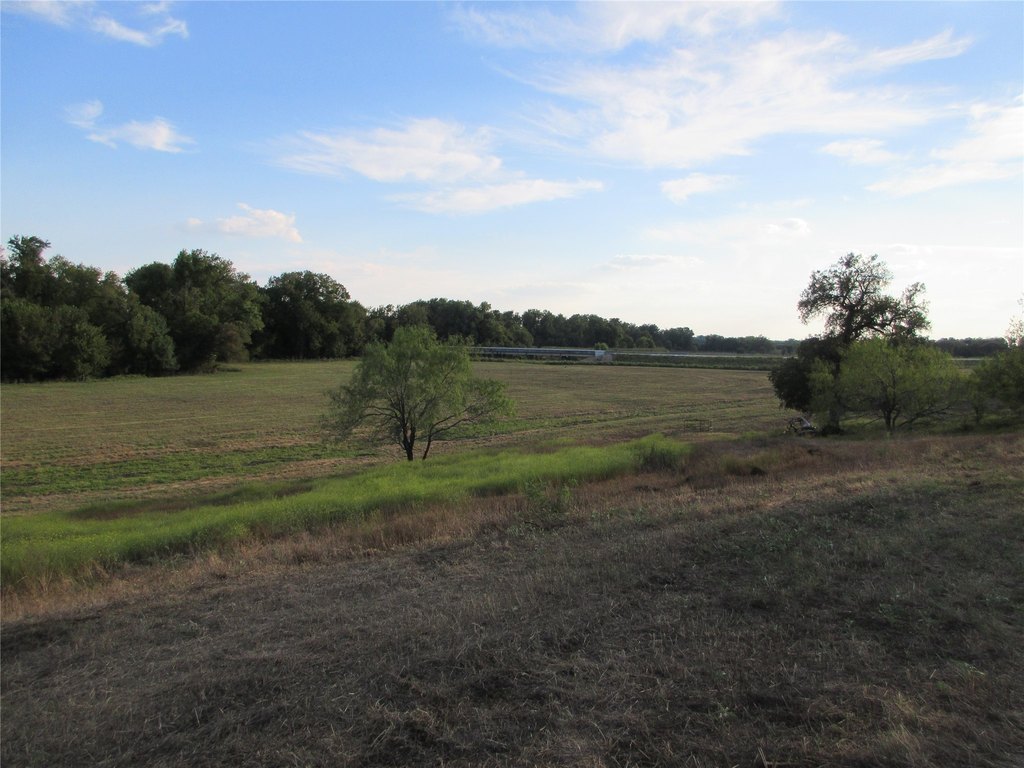 Picture 15