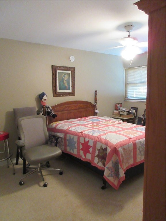 Picture 33