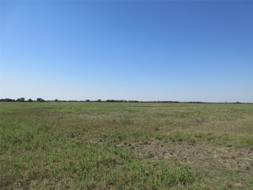 Picture 19