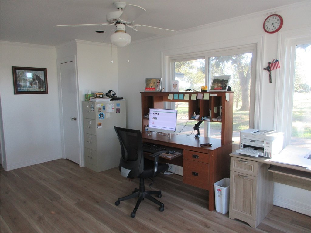 Picture 36