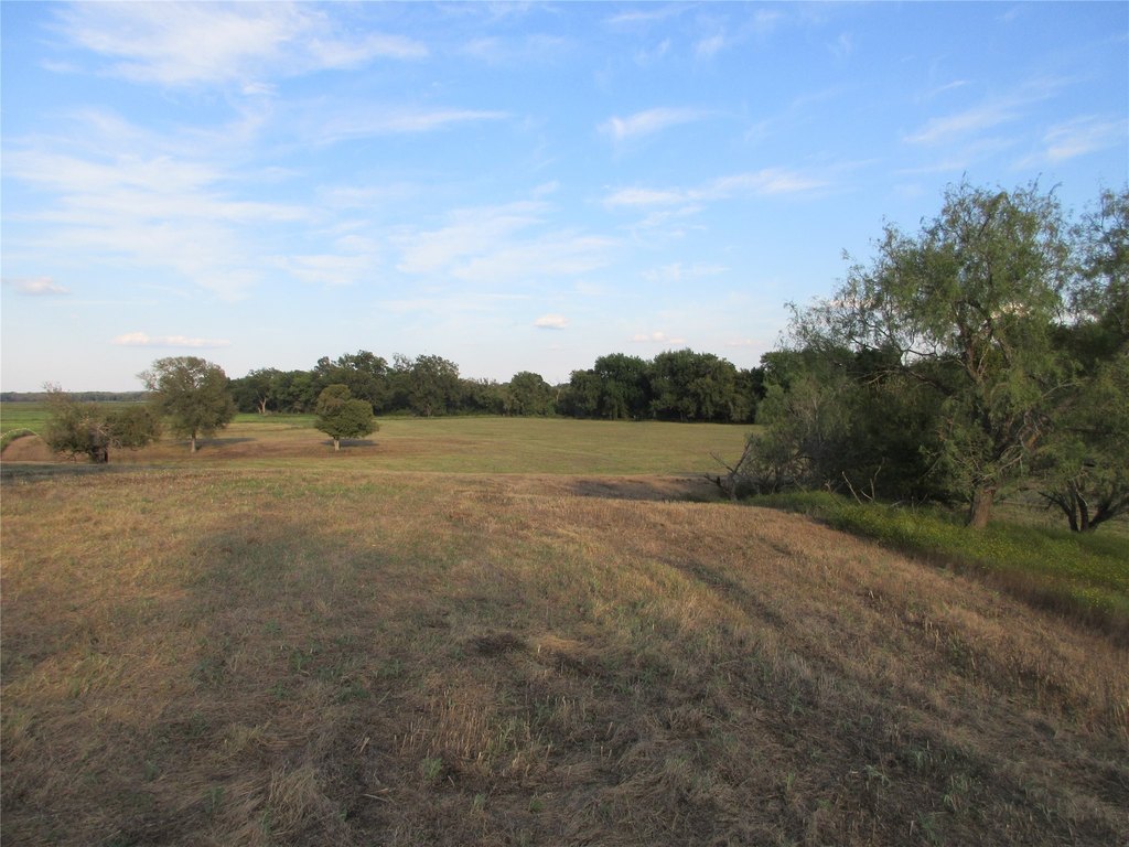 Picture 16