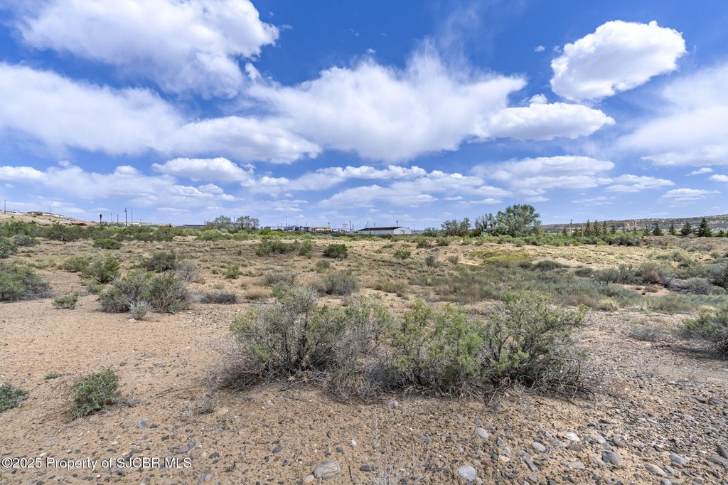 Picture 20