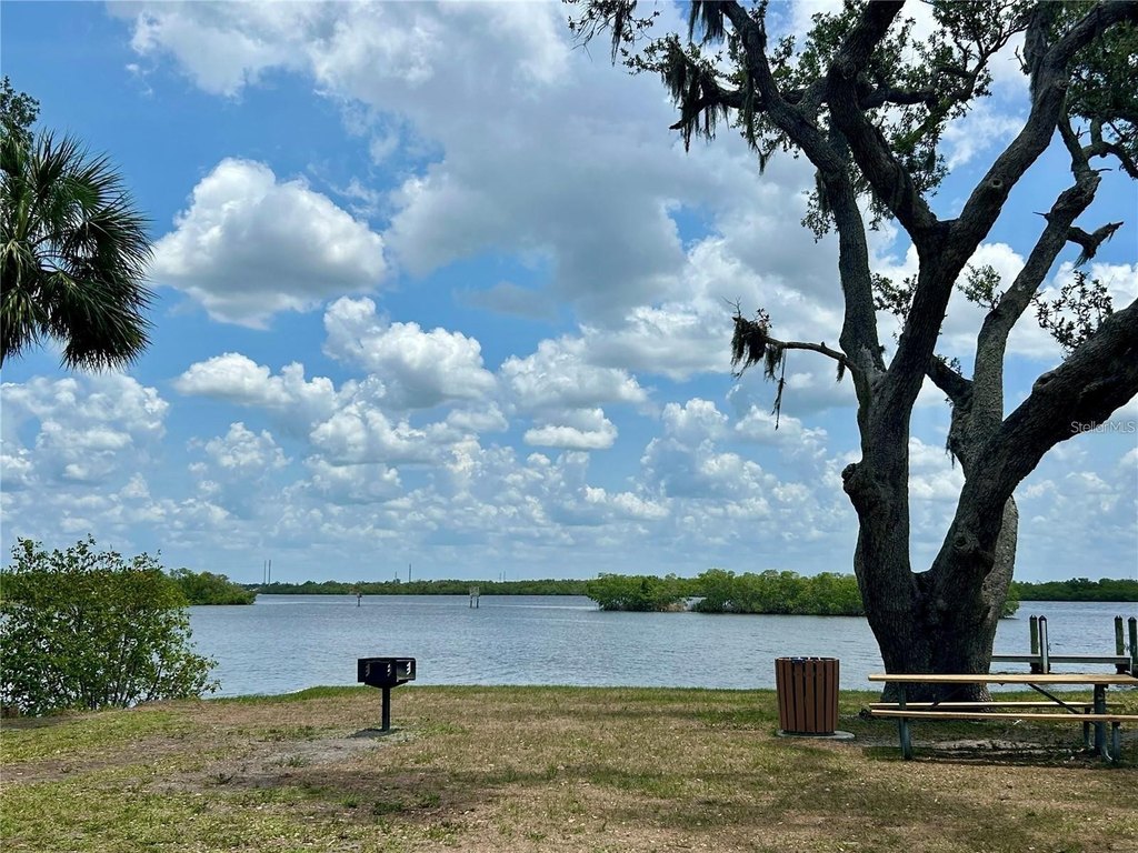 Picture 21