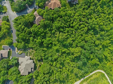 Expansive Land in Treillage Community