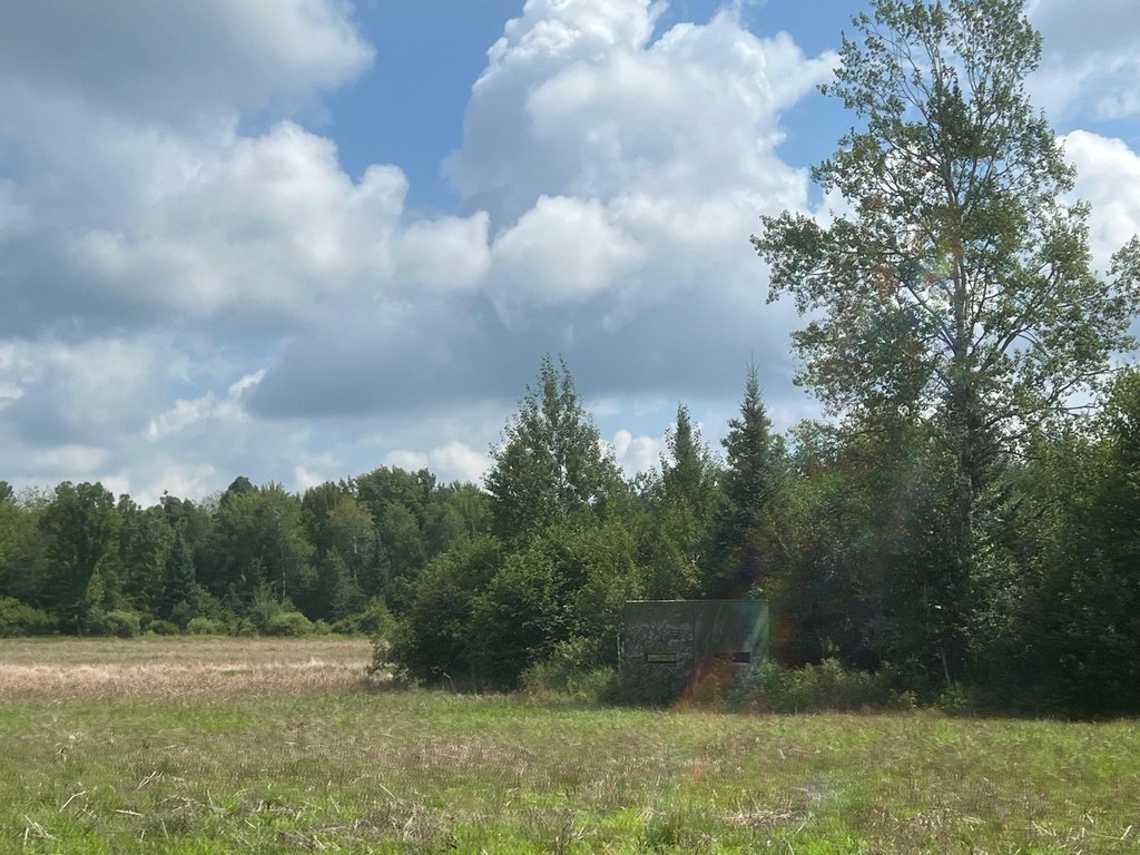 Picture 24
