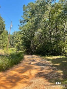Wooded Waterfront Land