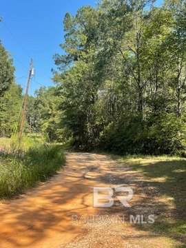 Chunchula, AL Wooded Land