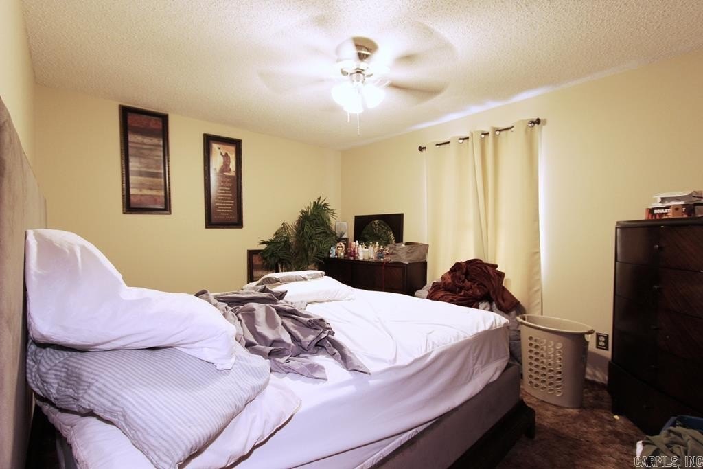 Picture 31